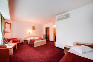 Фото номера Двухместный номер с 2 отдельными кроватями Отель Hotel Cornul Vanatorului г. Питешти 11