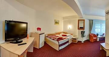 Фото номера Двухместный номер с 2 отдельными кроватями Отель Hotel Cornul Vanatorului г. Питешти 12