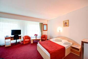 Фото номера Двухместный номер с 1 кроватью Отель Hotel Cornul Vanatorului г. Питешти 4