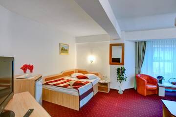 Фото номера Одноместный номер Отель Hotel Cornul Vanatorului г. Питешти 3